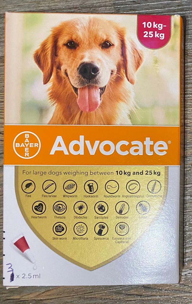 stuffed dog that breathes